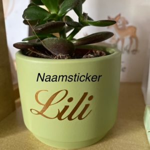Naamstickers voor bedankjes  (3-5 cm) - max hoogte = 2 cm + eventueel datum