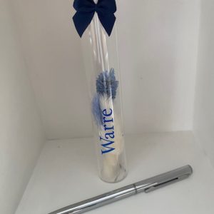 proefbuisje met balpen zilver