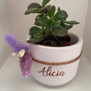 Bloempotje wit met droogbloemen